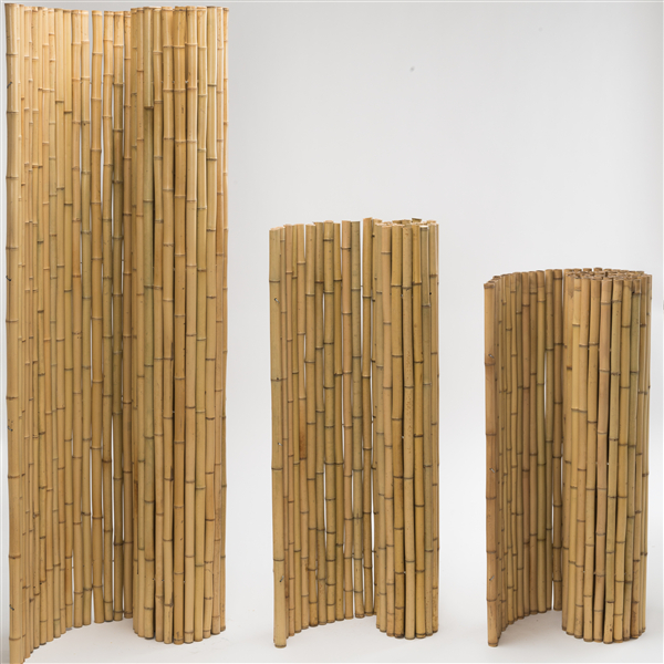 bamboo fencing